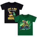 Lanbubble Toddler Boys T-Shirts, 2-Pack Dinosaur Graphic Short Sleeve Cotton Tees, Sizes 2T-6T